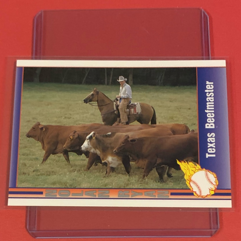 Texas Beefmaster #104 1991 Pacific Nolan Ryan Baseball Trading Card
